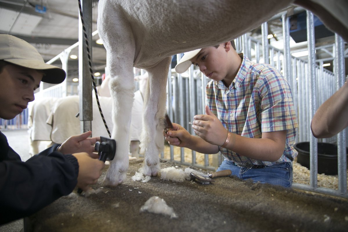 Nebraska State Fair tweet media