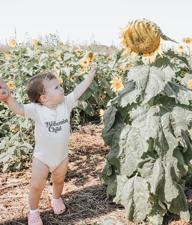 JosFlowerCo1's tweet photo. If you’re looking for some super cute retro tees and baby onesies make sure you check out Flora and Fauna🤩 https://t.co/92UhSyj6B7 https://t.co/tarna3SZIU