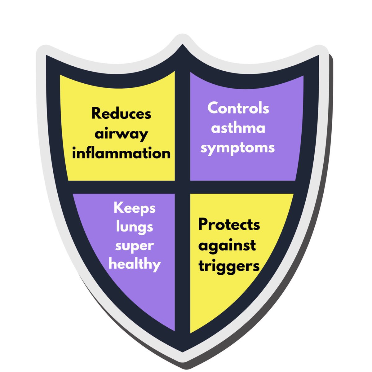 CHAHAsthma's tweet photo. Here’s why you need to keep taking your preventer inhaler every morning and night during the school holidays...even if you feel well. Keep safe for #week38 #4reasonswhy https://t.co/haLesYFO6B