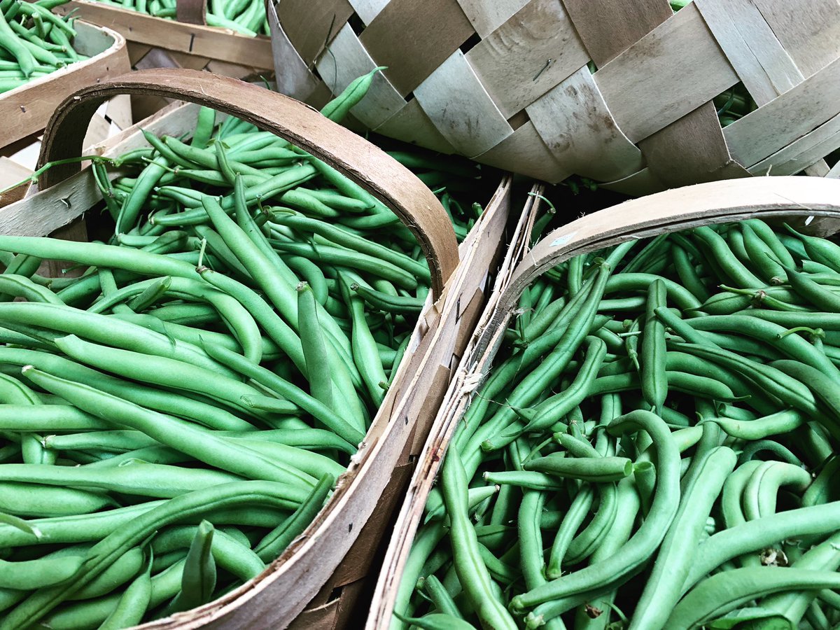 JaemorFarms's tweet photo. #homegrown white half runner beans: $25/half bushel or $50/bushel while supplies last. *Alto only. .
.
#georgiagrown #greenbeans https://t.co/1J8YlbkgcJ
