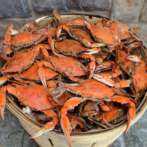 DeciderDinner's tweet photo. Crabs 🦀 

#food #dinner #dinnerdecider #eat #seafood https://t.co/Tgj4nPASz4
