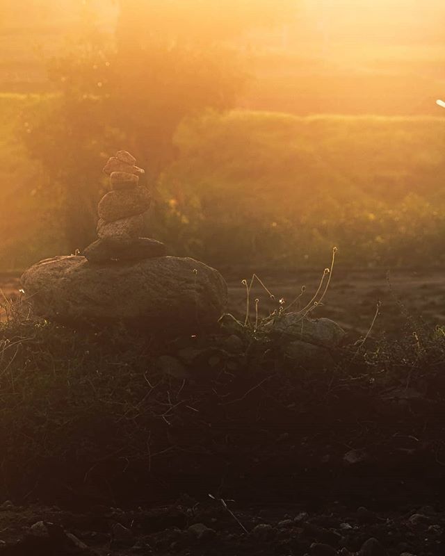 dpallipad's tweet photo. In the sunset of dissolution, everything is illuminated by the aura of nostalgia, even the guillotine.

#sunset #dawn #fog #sun #mist #landscape #weather #sky #rain #light #evening #water #fall #winter #nature #storm #dusk #outdoors https://t.co/fOnWIDuSZr https://t.co/yAzLcFvkJe