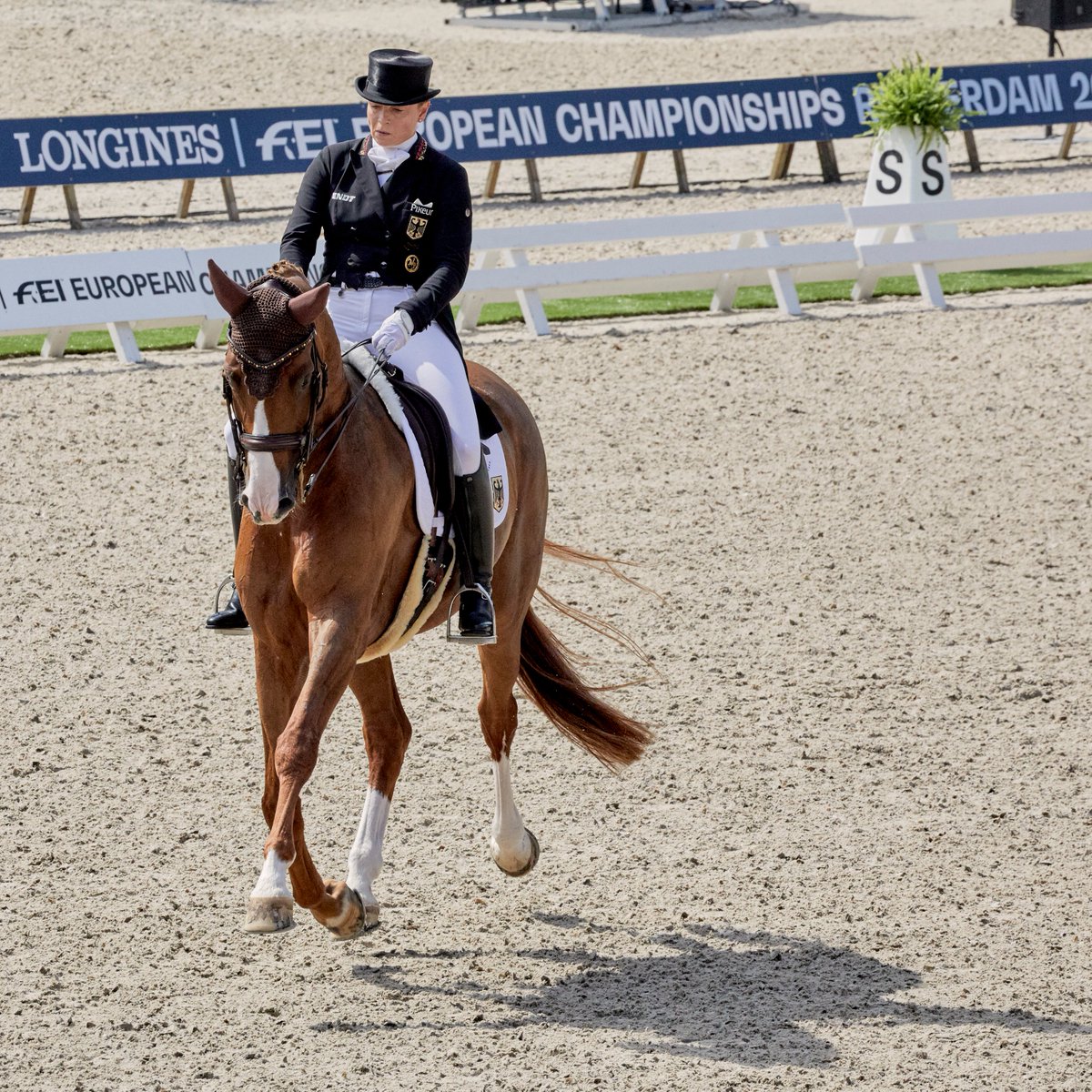 FEI_Global's tweet photo. Straight to the top! 🔝

Team Germany felt right at home as they topped the FEI European Championships podium for the 24th time in Team Dressage! 🏡

Get the full Day 2 update 
👉 https://t.co/h4y6jUxt9N

📸 FEI / Liz Gregg
#FEIEuros2019 https://t.co/ENQ3423G0s