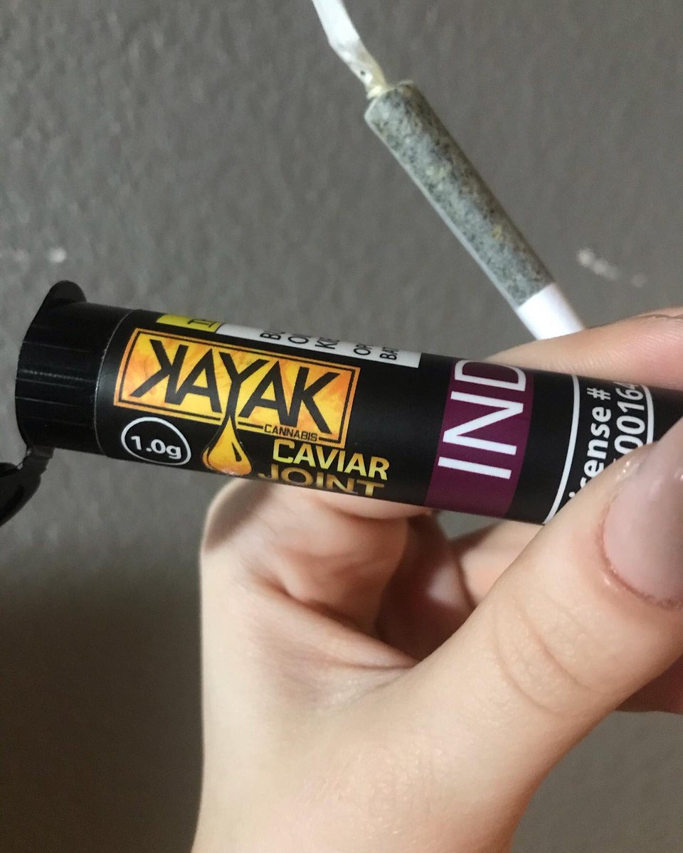 MagnoliaRoadTri's tweet photo. Thanks to Kayak Cannabis for making some fire-ass #caviar prerolls 🔥🔥 What do you get when you mix bud, #thc oil and #kief in a convenient, full gram #preroll ? You get #stoned 💥👾 #420blazeit #420life #420industry https://t.co/vS88r0TSsS