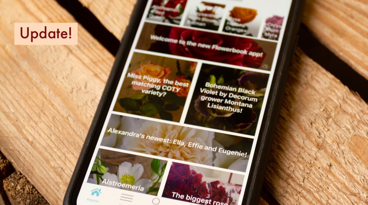 U P D A T E - The latest Flowerbook update is here! It is available for free on iOS and Android through this link: 

onelink.to/updateflowerbo…

Important note: please make sure to sign up for a new account. The accounts from the previous version will not work in this new version!