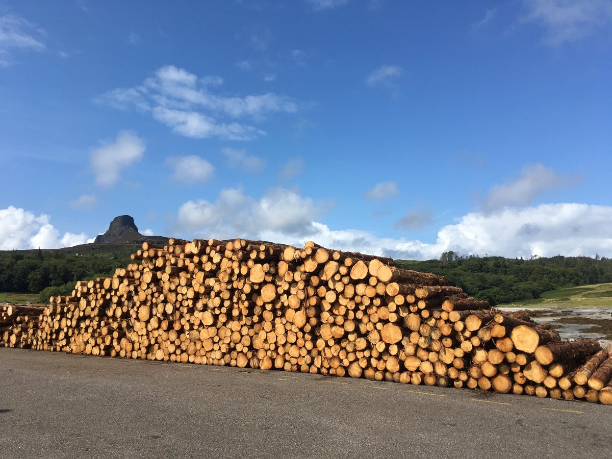 isleofeigg's tweet photo. Very excited to announce our first load of timber is being loaded onto Troon Tug's Red Princess and heading to @GlennonBrothers Harvesting project going really smoothly thanks to hard work by our amazing team @forestsandwood #EiggTimber https://t.co/CWYizSJr8L