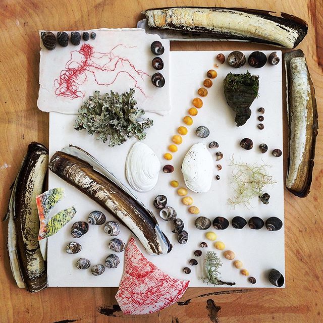 elaket's tweet photo. Maine REACH artist residency. Bliss!
.
#air #maine #artistresidency #mainereach #sea #forest #lichens #lichenology #seashells #ceramics #slipcast #collage #arrangements #texture #fungus #moss #woodland #bluehill #foundthings #artpractice #studiolife https://t.co/02K05IRwVu