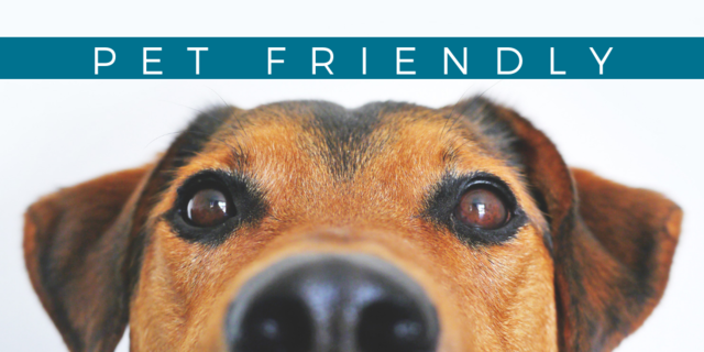 StaybridgeAtlantaMid tweet media