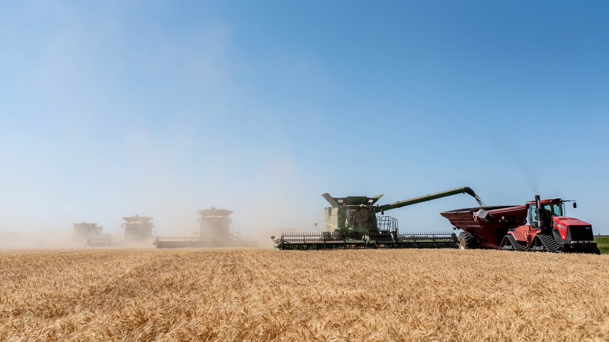 Will Bergmann (@will_bergmann) on Twitter photo Always thankful for the opportunity to grow food for all people, and especially thankful to be a part of a <a href="/Foodgrains/">Canadian Foodgrains Bank</a> grow project. 5 neighbors farm land provided by <a href="/umanitoba/">University of Manitoba</a> with seed this year from <a href="/Pituraseeds/">Pitura Seed Service</a> and inputs from <a href="/NutrienLTD/">Nutrien</a> <a href="/Bayer4CropsCA/">Crop Science Canada</a> <a href="/BASFAgSolutions/">BASF Agricultural Solutions Canada</a> Always thankful for the opportunity to grow food for all people, and especially thankful to be a part of a <a href="/Foodgrains/">Canadian Foodgrains Bank</a> grow project. 5 neighbors farm land provided by <a href="/umanitoba/">University of Manitoba</a> with seed this year from <a href="/Pituraseeds/">Pitura Seed Service</a> and inputs from <a href="/NutrienLTD/">Nutrien</a> <a href="/Bayer4CropsCA/">Crop Science Canada</a> <a href="/BASFAgSolutions/">BASF Agricultural Solutions Canada</a>