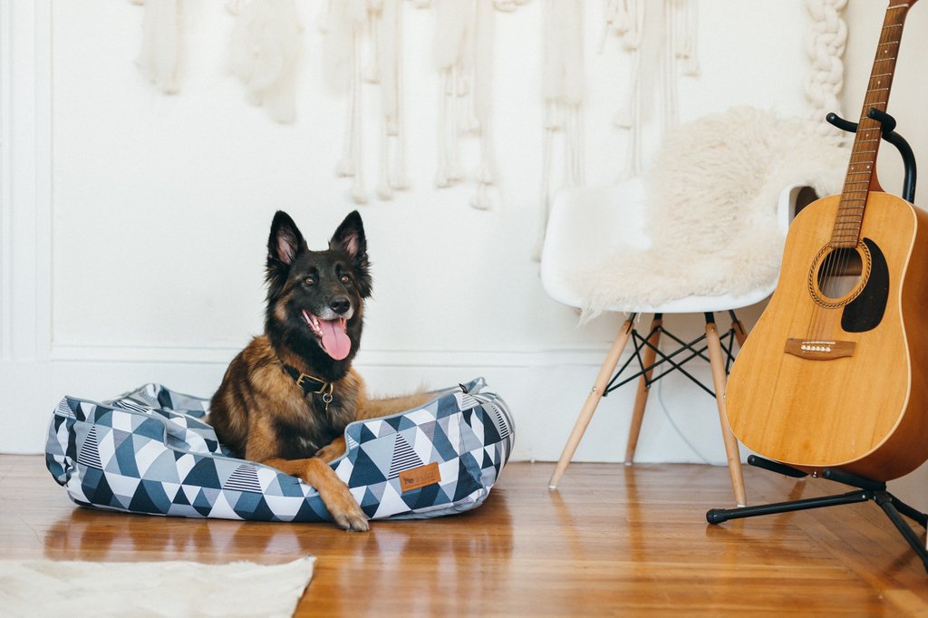 playpetbrands's tweet photo. #SuperZoo 2019 is here!! We're releasing tons of new products this week, including our Mosaic Lounge beds!! 😍 Check them out here! https://t.co/ZvG43FhBt2 And if you're here to enjoy the fun, come say hi at Booth #1820! 🤗 #superzoo2019 #sz2019 #petpros #superzootradeshow https://t.co/nxyWf0s2aF