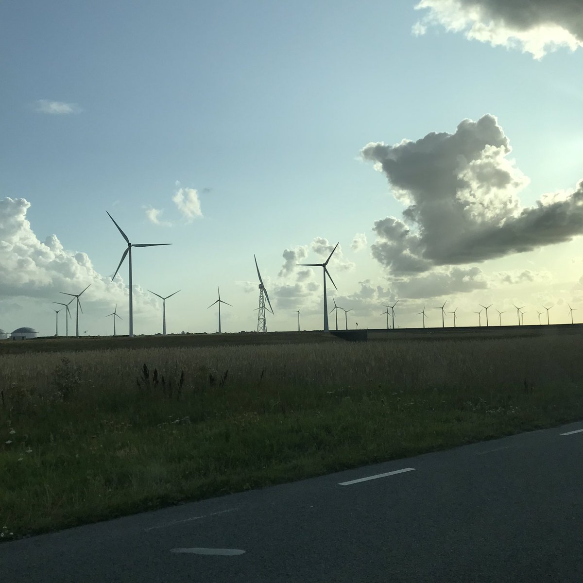 PennyHaw's tweet photo. Wind turbines, Shetland ponies, quaint villages and flowers on my #flatrun in the #Netherlands today. https://t.co/XvLhmeXpPb