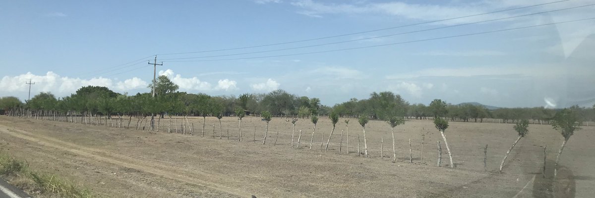 AspersorTampico's tweet photo. https://t.co/DWZAM8P6ca
