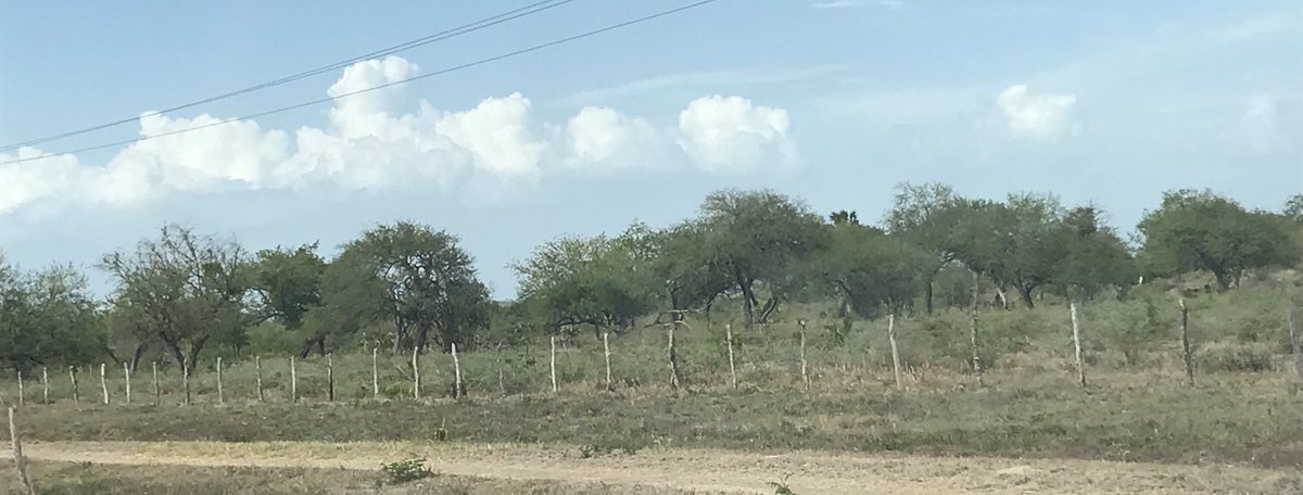 AspersorTampico's tweet photo. https://t.co/DWZAM8P6ca