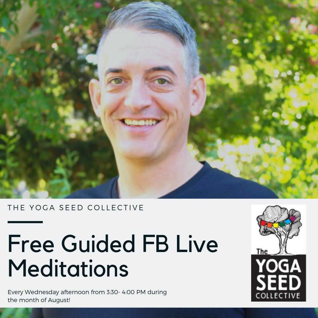 Yoga Seed Collective tweet media