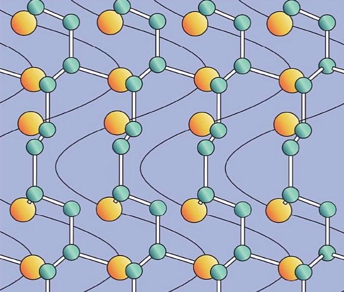 Учебная практика по созданию сети экологических маршрутов в Ботаническом саду им.