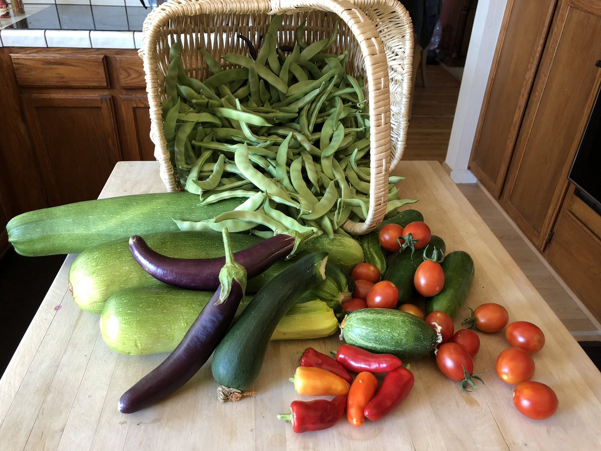 julie_mortara's tweet photo. #nvgardener #takingayearoff https://t.co/nns43wokMx