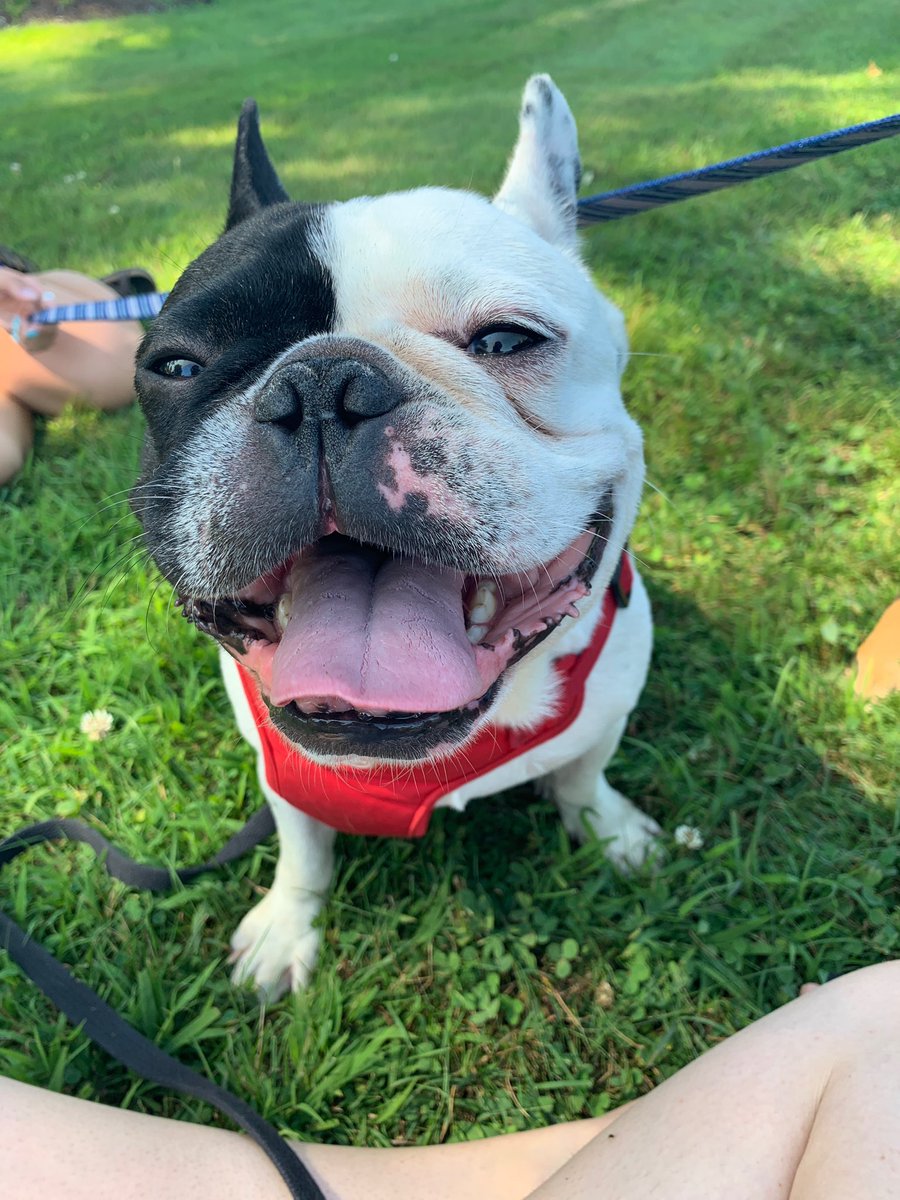 Megan_Long97's tweet photo. So happy @MichaelaSorrell and @alana_persson11 hung out with him today ❤️ look at that smile🤩 https://t.co/NeCIx7PRWF