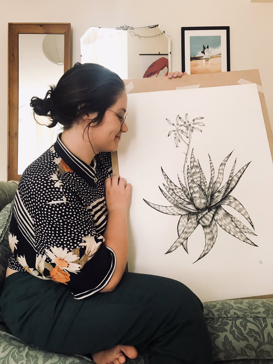 I’m working on a commission for 16 aloe and succulent drawings for a lodge in Botswana! 🇧🇼  #aloes #fineliner