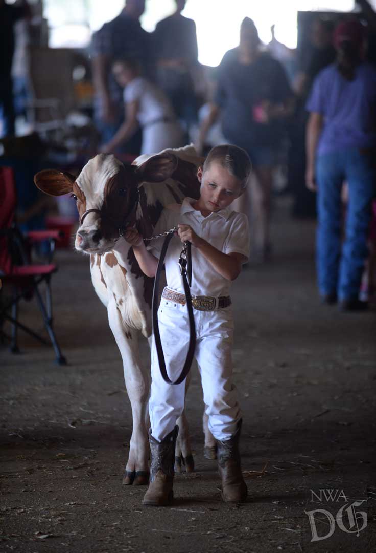 NWADemGazPhotos's tweet photo. We're keeping cool at @MyWashCoFair. $2 admission with a canned food item today. The midway opens at 5 p.m. @nwademgaz https://t.co/F6ITbSwIEF