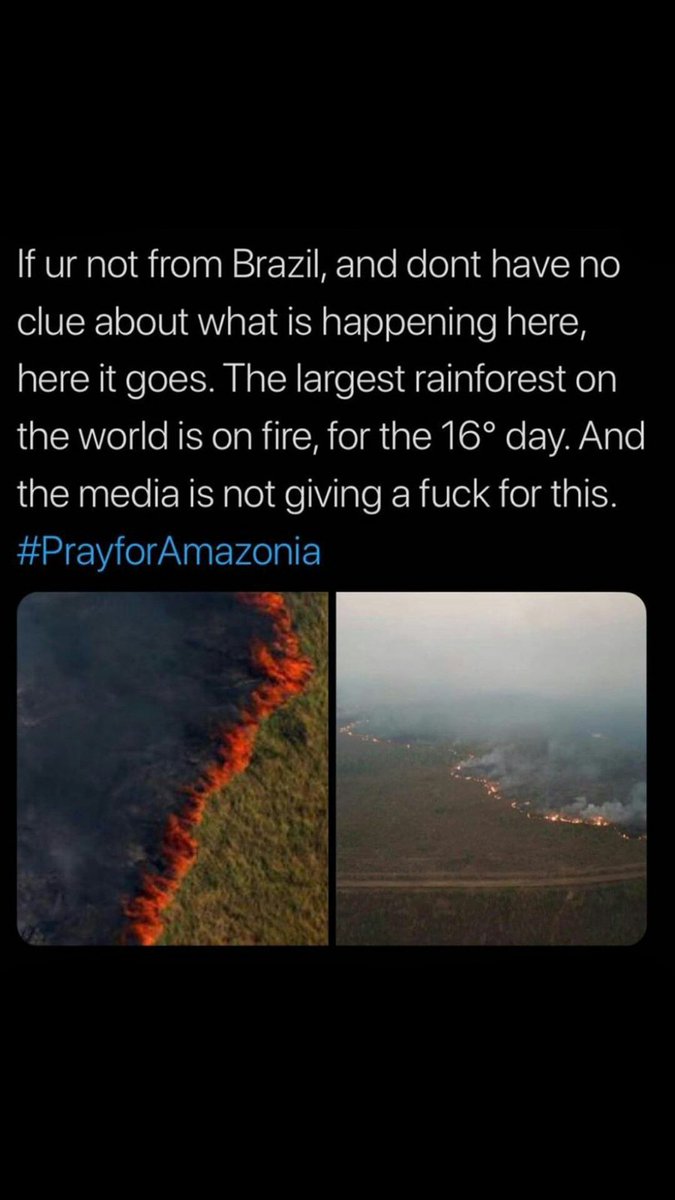 _mehek_'s tweet photo. the amazon rainforest has been burning for 3 weeks!! don't just pray, do something about it.  #AmazonRainforest https://t.co/uxdDsQfWqE