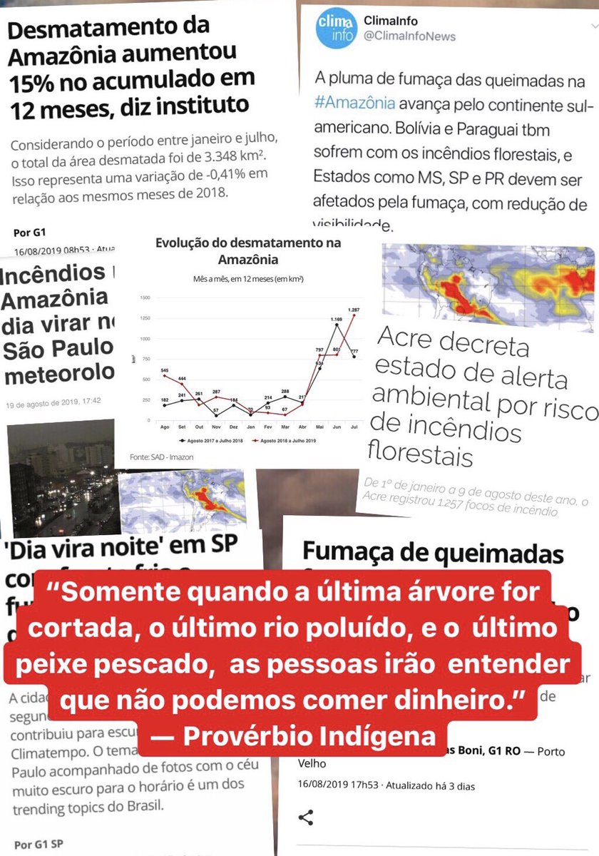 joaodsoares's tweet photo. Tweet de Gisele Bündchen (@giseleofficial) Gisele Bündchen (@giseleofficial) tweetou: Isso precisa parar! Precisamos cuidar da nossa floresta! https://t.co/CvvvPAmkqM https://t.co/L0LuRGegJ7
