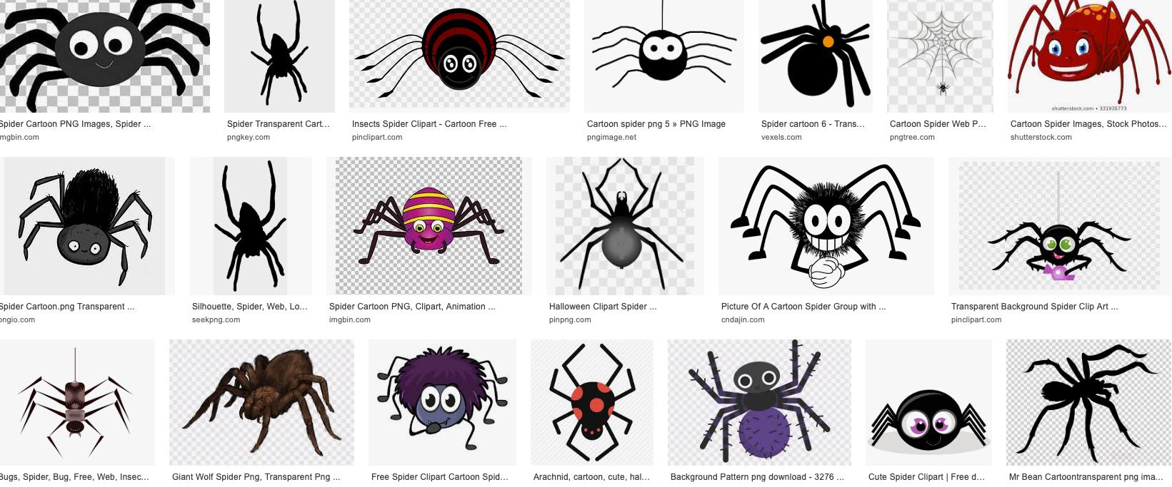 Wolf Spider transparent background PNG cliparts free download