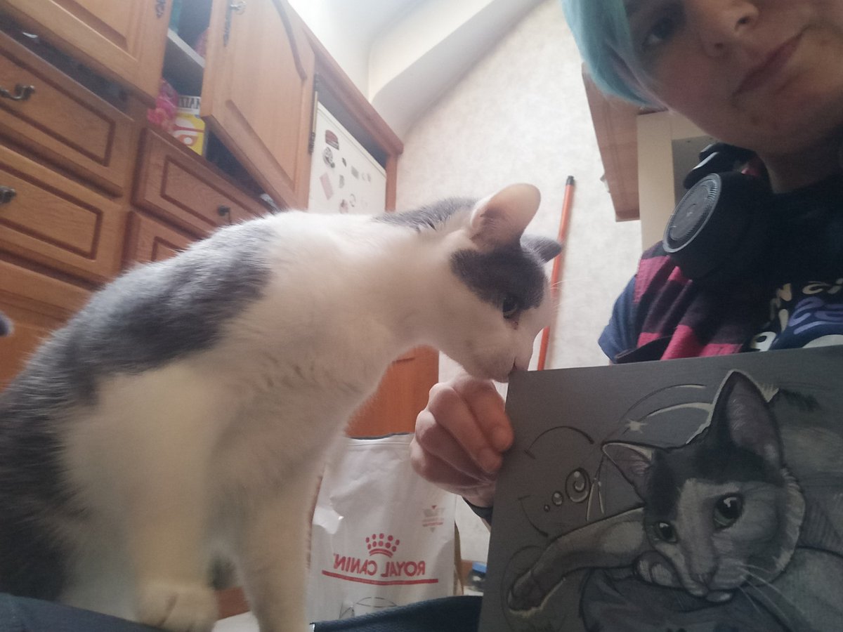 J Aime Trop Chat Jaimetropchat Twitter