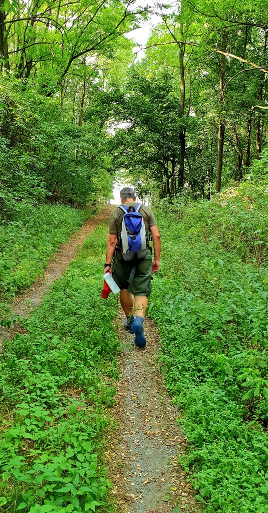 AliceVoetter's tweet photo. #ontheway #badsauerbrunntomattersburg @BurgenlandInfo - overgrown and not marked paths reminded me of #sutherlandtrail 😉 never thought hiking in #burgenland could be so exciting 👣👣 - and once again we haven't met a single soul! 👍 https://t.co/Kdk6Ny3cG5