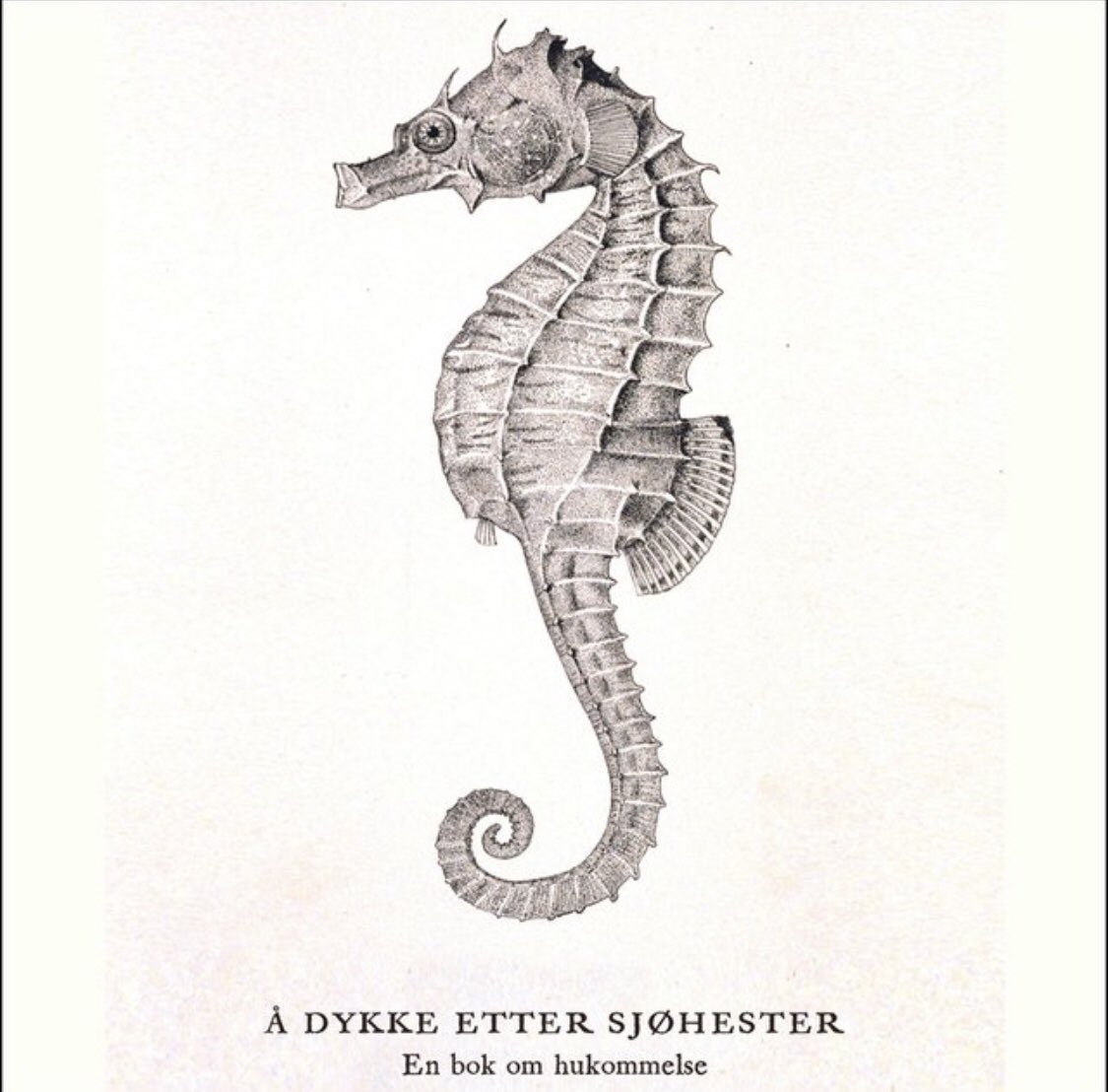HildeSchjerven's tweet photo. «Motorisk hukommelse går utenom hippocampus» Denne boka anbefales @CEvenshaug @GeirKResaland #fysiskaktivlæring #sefal https://t.co/veZdxaSOQR