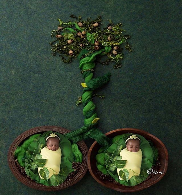 MyPreciousWorld's tweet photo. Sooo Beautiful💚
.
🌿🌳 The Tree Of Life🌳🌿
.
.
. 
Credit: 📸@mimsphotographyy
.
.
🛍️#MyPreciousWorld marketplace coming soon. .
.
.
. .
#supportblackbusiness #supportsmallbusiness #blackbabygoals #phot... https://t.co/rEfVnS5Aoe