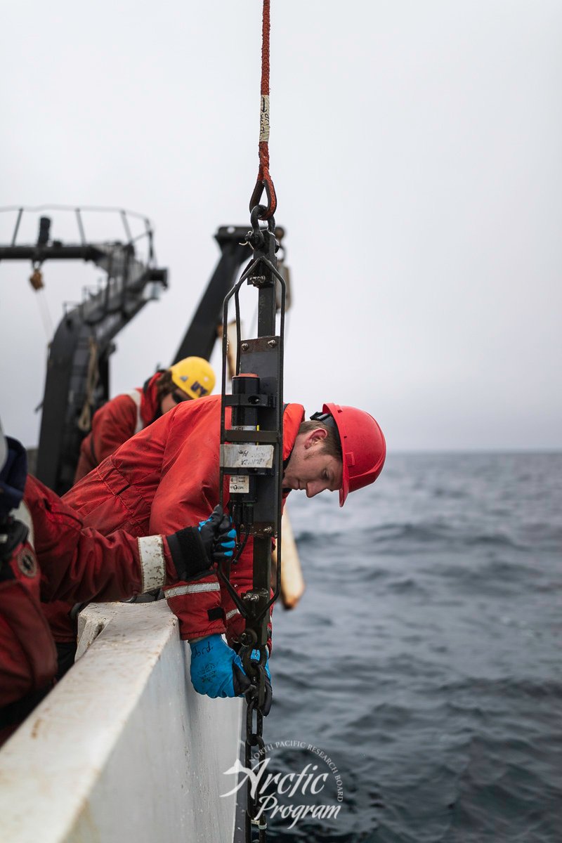 NPRB Arctic Program tweet media