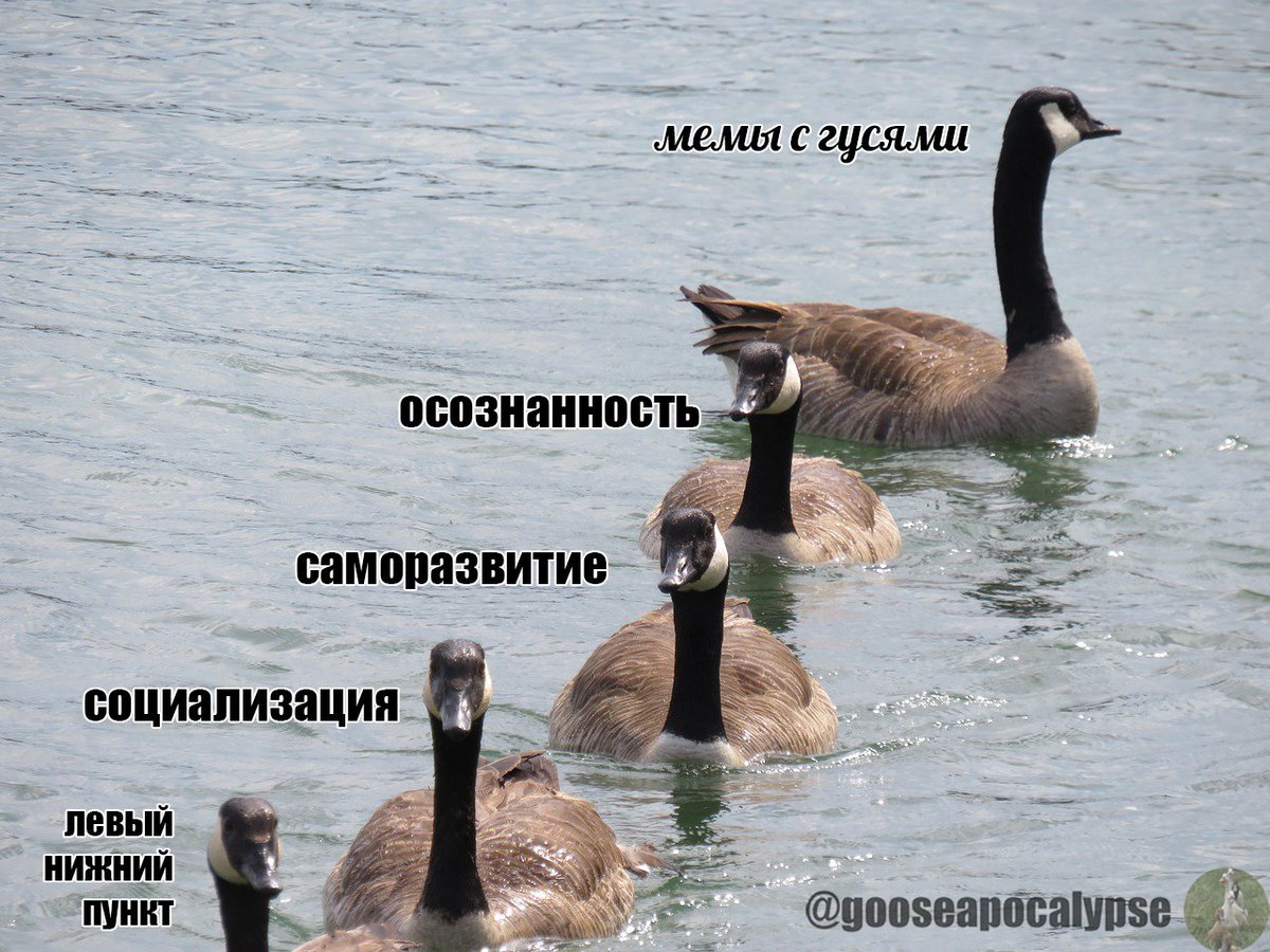 что же выбрать?..