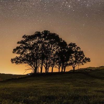 Te venceremos, fuego, como los árboles que plantó el abuelo. <a href="/juanglujan/">Juan García Luján</a> #ifgrancanaria #IFGrancCanaria #IFValleseco  juanglujan.wordpress.com/2019/08/20/te-…
