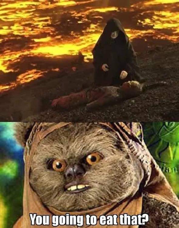 Temporal_Magic's tweet photo. Ewoks live in trees, they always have the upper ground. https://t.co/xnXT5s5aTK