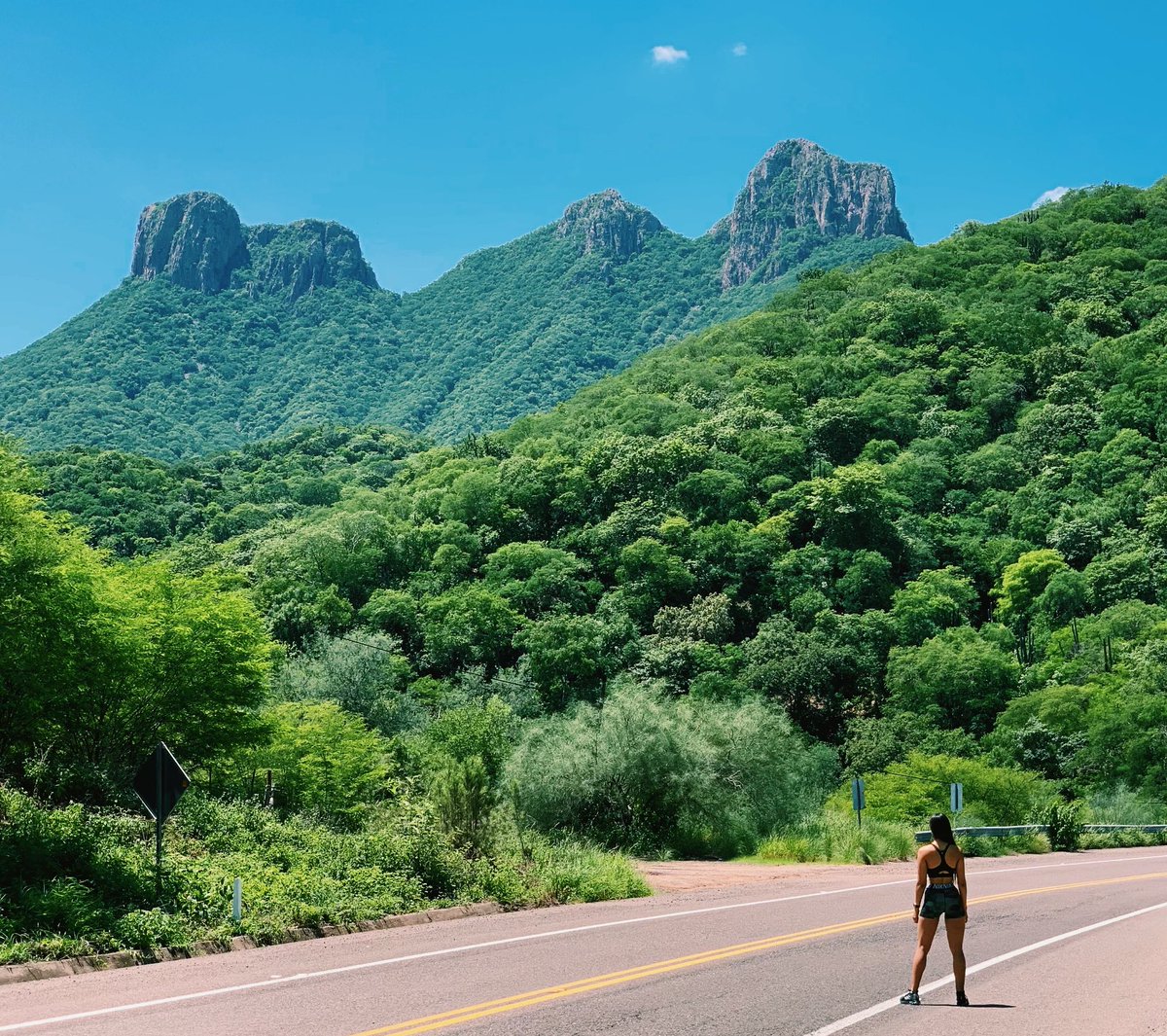MiriamRscn's tweet photo. Lugares que cargan de energía ⛰🔋.
.
Pd: quede completamente enamorada de🏃🏻♀️⛰😍 @parquelacolorada
.
.
#runnergirl #alamossonora #trailrunner #outdoors #runnermom #runnerlife #yoelegícorrer #teamhmo #mexicanrunner #visitsonora #pueblosmagicosmx https://t.co/vFP9H6Ilfi
