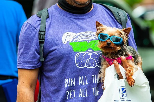 gunnrwilliams's tweet photo. gotta look cool before the big race.... Paw Valley 5K in Lawrence KS. .
I make dog art. 
#youwithdog #dogart .
.
.
.
#photography #photograph #gunnarwilliamsphotography #gunnwilliams #dog #dogs #dogphotography #dogsofinstagram #rescue #adopt #dogoftheday… https://t.co/STtsy5RZeD https://t.co/LfdKn6VtzY