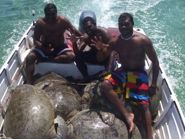 DugongTurtleAus's tweet photo. Who’s counting? Nobody! Unmonitored. Unlimited. Disgraceful management of endangered species!
Queensland, Northern Territory, Western Australia
Motorboats (death machines) are not traditional
The greed is despicable. The cruelty is abhorrent.
Protect these species, Australia! https://t.co/qynNGO15AM