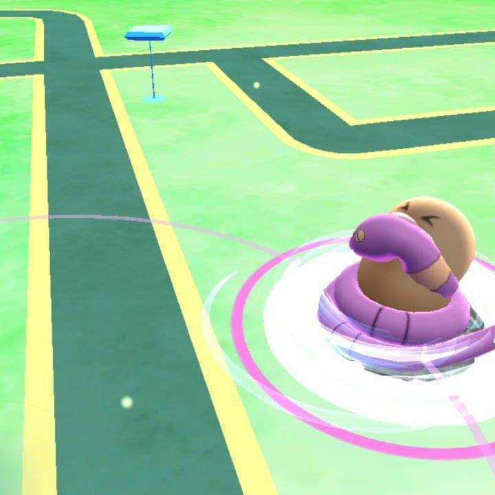 ChechoArgCarp's tweet photo. Hoy en "Animales Salvajes" veremos como una constrictora enguye a su presa..
#PokemonGo #PoGo #NatGio
@hananauta @SabriRobledo @trainer504 @PokemonGoFans4 https://t.co/txRXPbH4ti