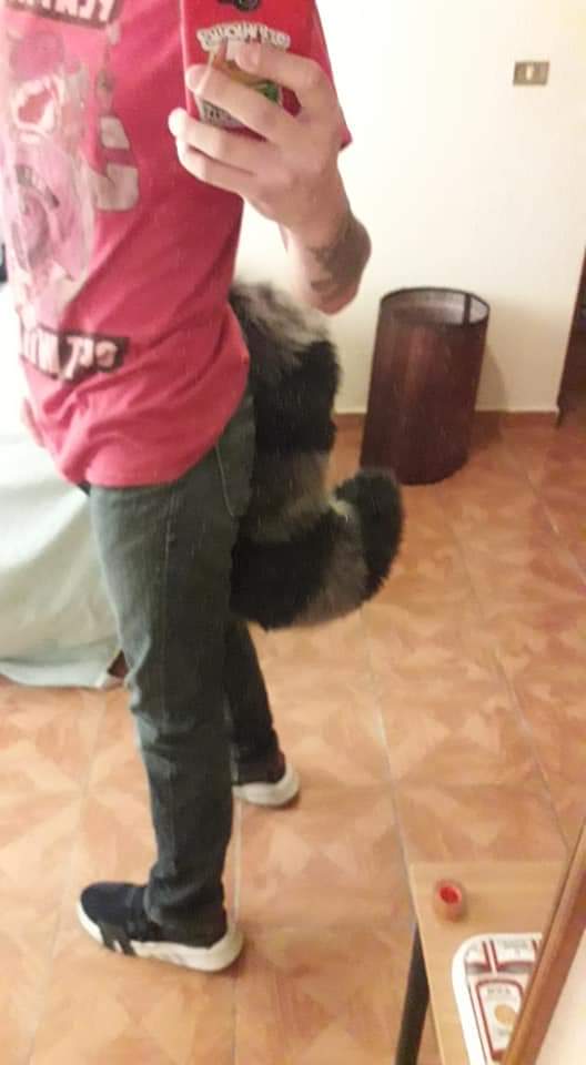New #fursuit review:

[YES] Raccoon Tail by <a href="/PyropeCostumes/">✨Pyrope Costumes✨</a> !

Read it here:
fursuitreview.com/blog/2019/08/0…