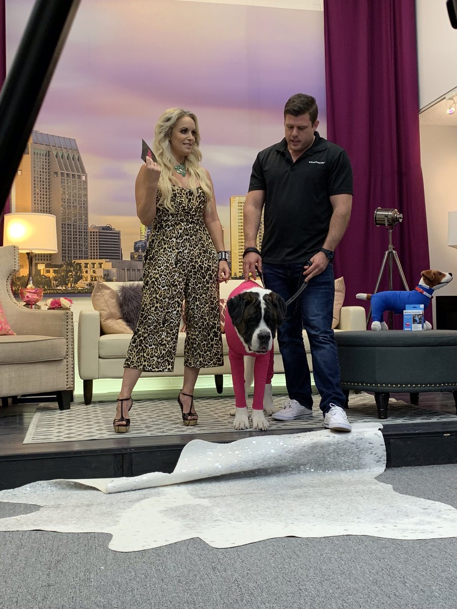 The Pulse®️ tweet media