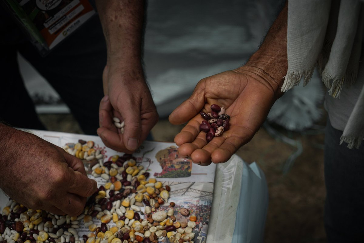 RestitucionC's tweet photo. RT PBIColombia: Este fin de semana acompañamos a ACVCRAN en el Tercer Festival de la Cultura y Dignidad Campesina en Cañabraval Bajo, se celebró el patrimonio cultural campesino y reivindicó el reconocimiento del campesinado colombiano como sujeto políti… https://t.co/8zlJC7qxQh