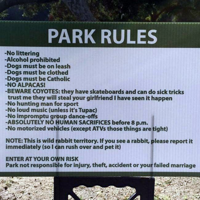 MaverickSkate's tweet photo. 📝 Rules are rules... https://t.co/3yxbEuYOzA