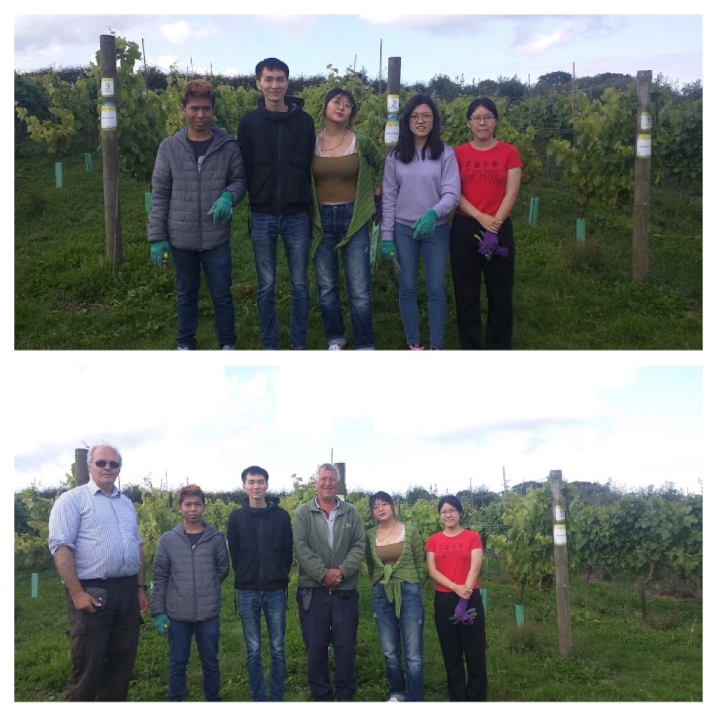 ⁦ many thanks to the students from ⁦<a href="/SHSUVolunteer/">SHSU Volunteering</a>⁩ who came up to the farm today to help tend our vineyard and tidy our horti area!