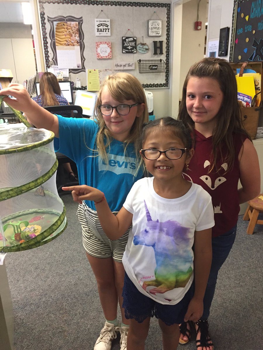 ValleyKidsRock's tweet image. We have new butterflies. We are waiting for their wings to dry so they can be released into the garden.  #DiamondScience