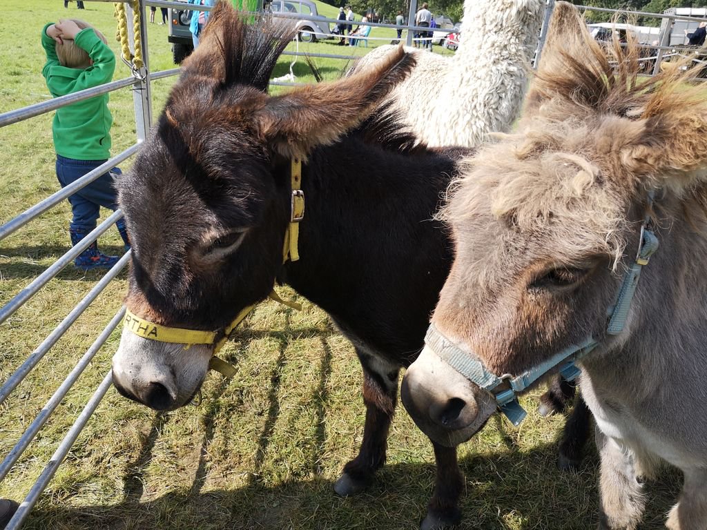 Wonder who's going <a href="/malhamshow/">Malham Show</a> on Saturday?