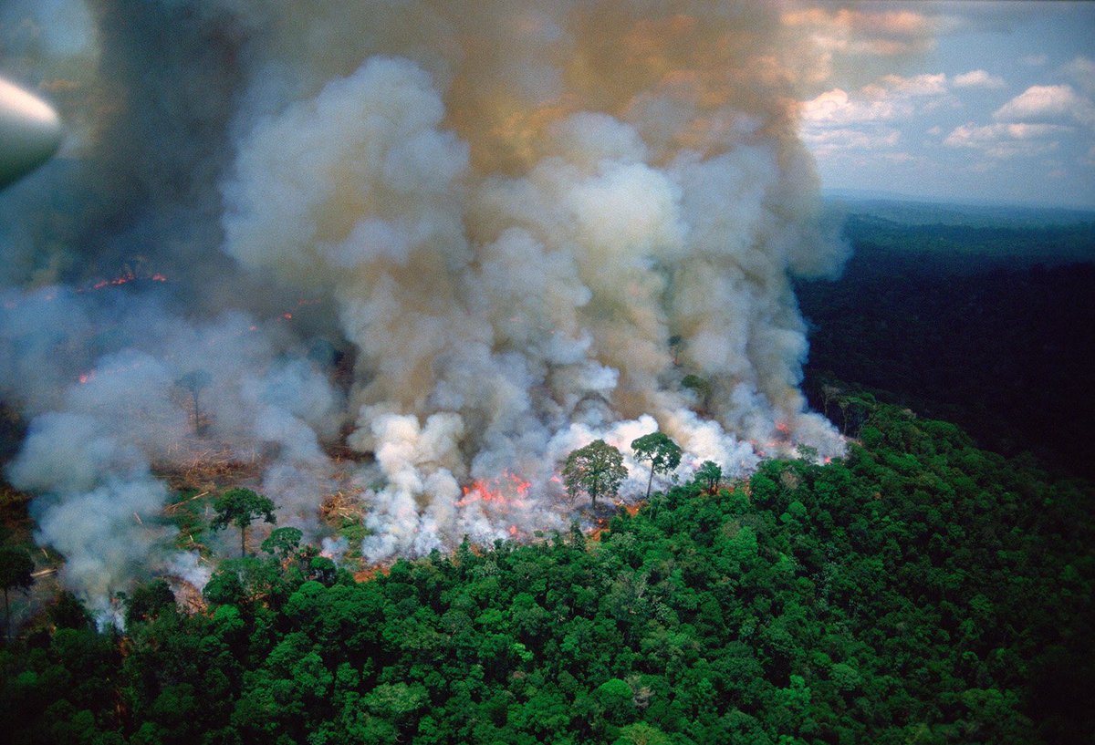 raeslaure's tweet photo. SPREAD AWARENESS!! The lungs of our planet are being destroyed!! The Amazonia has been burning for 3 weeks straight! Save our planet! #PrayforAmazonia https://t.co/m1qIO1eIPy