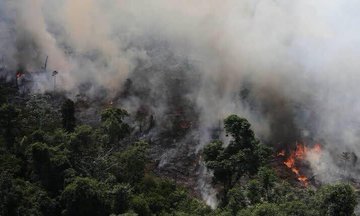 Sinmordaza's tweet photo. #ATENCIÓN l El pulmón del planeta lleva más de 16 días quemándose. Estado de emergencia en Amazonas debido al incendio. #PrayforAmazonia #20Ago https://t.co/GEW9lZdwo3