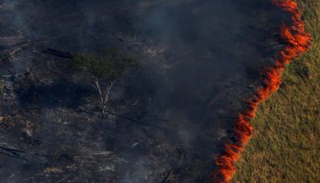 Sinmordaza's tweet photo. #ATENCIÓN l El pulmón del planeta lleva más de 16 días quemándose. Estado de emergencia en Amazonas debido al incendio. #PrayforAmazonia #20Ago https://t.co/GEW9lZdwo3