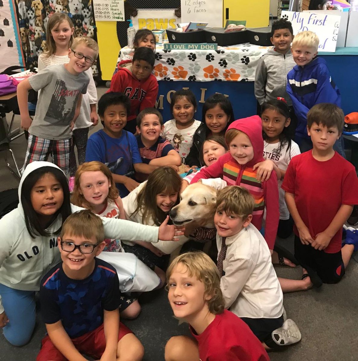 WordWhispers's tweet photo. #FirstDayofSchoolThoughts
Every classroom (every age!) should have a therapy dog.
@mrbutler629 @LangOnCourse @ACUE_HQ @joshua_r_eyler https://t.co/BIzTAIt91G