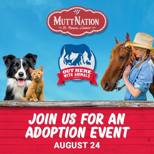 mirandalambert's tweet photo. .@TractorSupply &amp; @MuttNation are teaming up for #OutHerewithAnimals, a nationwide adoption event at Tractor Supply stores around the country. Get more info on the event, so you can find your new best friend here: https://t.co/A6srYgIlpg #AdoptDontShop #LoveAShelterPet https://t.co/Dlpxl8RNeC